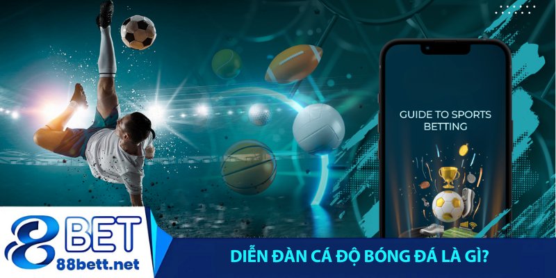 Diễn đàn cá độ bóng đá là gì?